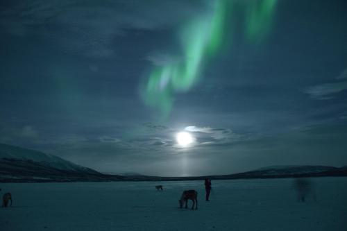 Kilpisjärven Tunturimajat