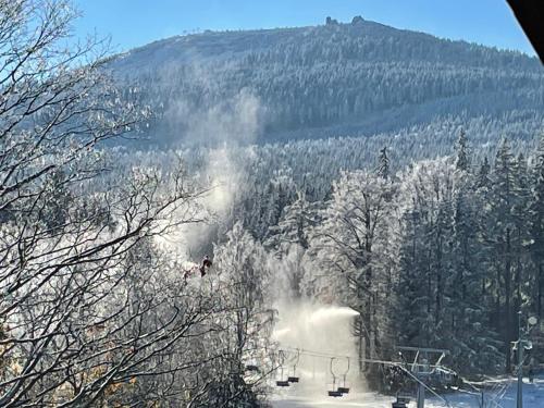 Villa Roma - main image