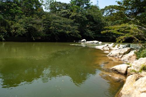 RíoBosque Cabañas de lujo frente al rio desayuno incluido san carlos antioquia