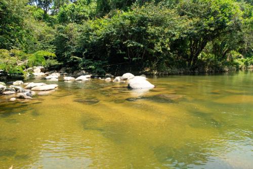 RíoBosque Cabañas de lujo frente al rio desayuno incluido san carlos antioquia