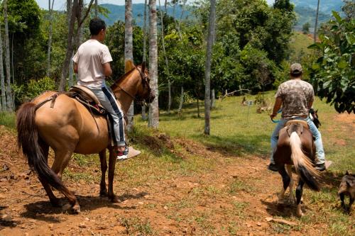 RíoBosque Cabañas de lujo frente al rio desayuno incluido san carlos antioquia