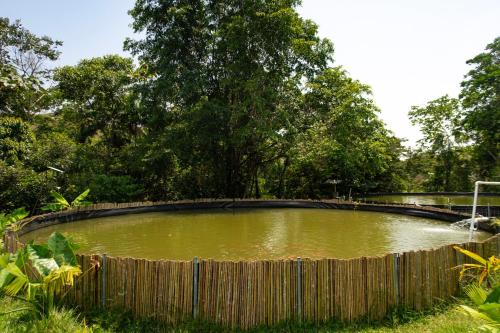 RíoBosque Cabañas de lujo frente al rio desayuno incluido san carlos antioquia
