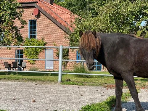 Ferienwohnung Vidja in Osterby, Deutschland