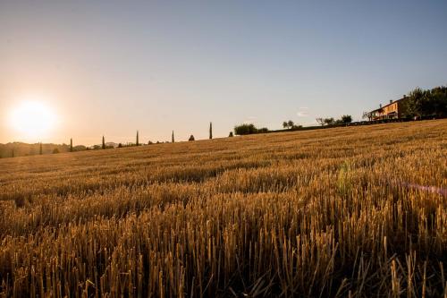 Agriturismo Il Tiro