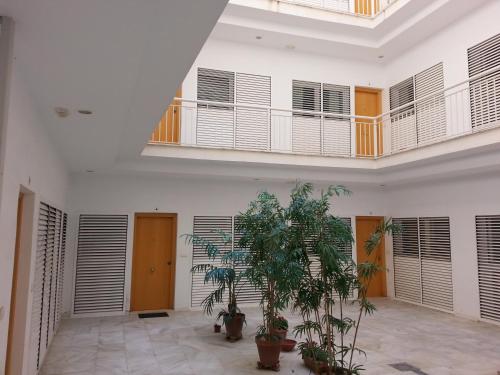 Apartamentos Alamos, Málaga (fotografie 8)