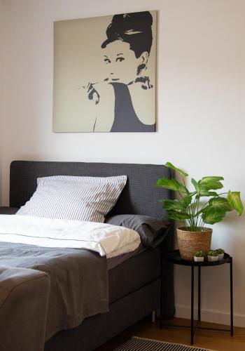 Zentrale Wohnung im Szeneviertel 2,5km bis zur KÖ, Düsseldorf (fotografie 5)