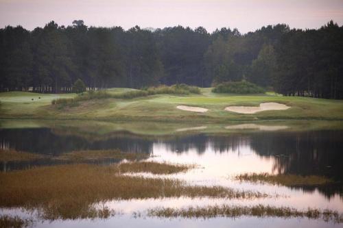 Hampton Inn & Suites Savannah-Airport - image 5