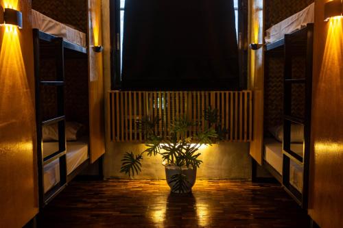 Reef Hostel near Palawan Heritage Center