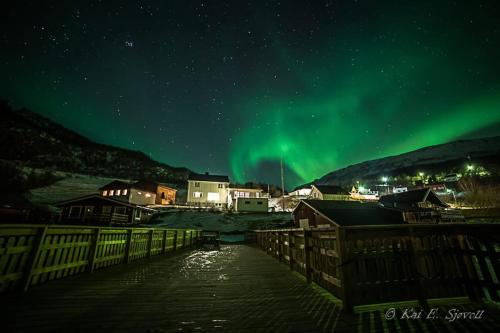 . Elvegård Fjordcamp