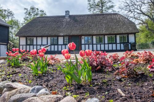 A szálláshely kívülről, Awesome Home In Ebeltoft With 3 Bedrooms And Internet in Femmoller