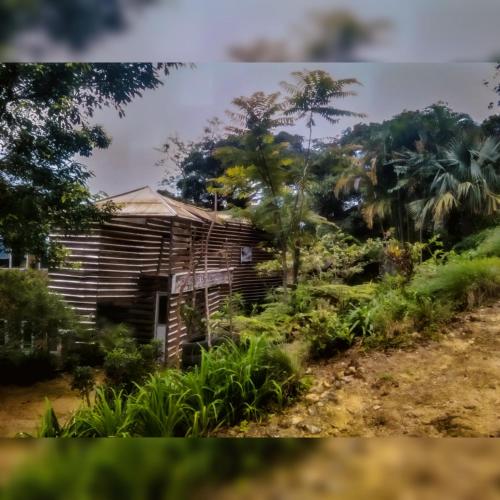 Jungle Tree House Rangala