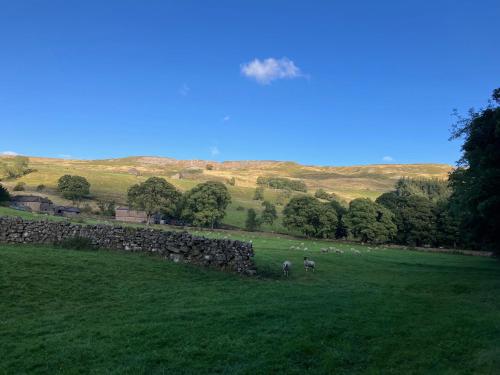 1 Swollowholm Cottage in Langthwaite
