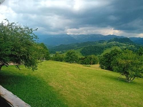 Casa rustica 5