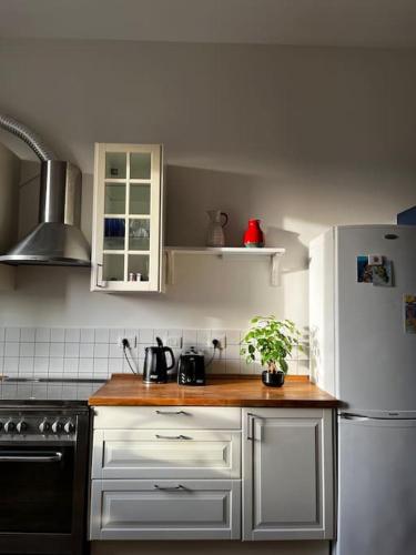 Kitchen, The Blue Door in Rome Suburbs