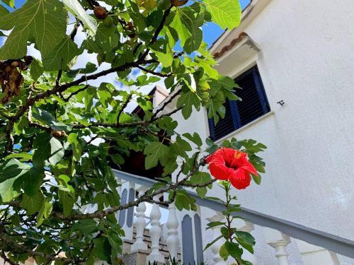 Apartments Horvat - image 7