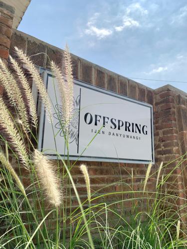 Offspring Ijen Hostel Banyuwangi - 정원