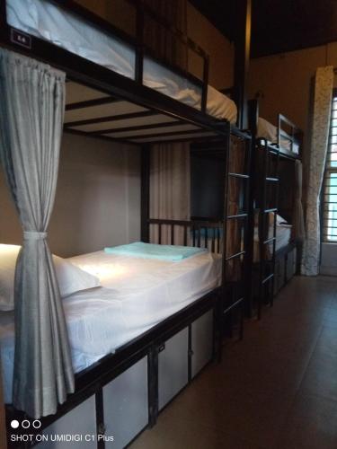 Bunk Bed in Mixed Dormitory Room image 4