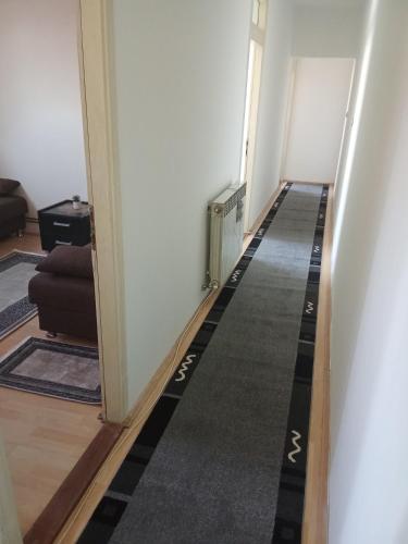 Apartmani Janićijević 1 (Apartmani Janicijevic 1) in Dragoslava Srejovica