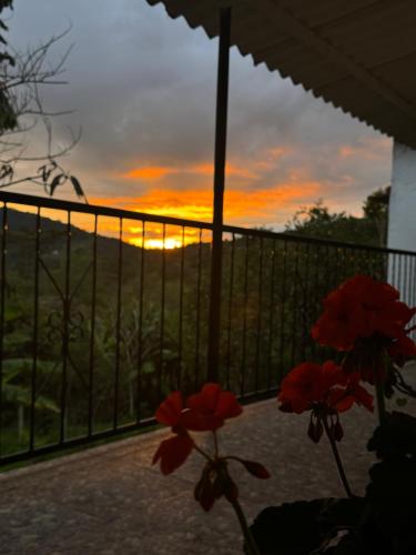Cabaña flores en la colina - jacuzzi