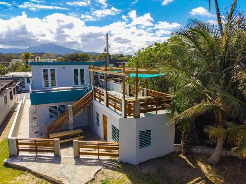 The Surfing Turtle in Luquillo