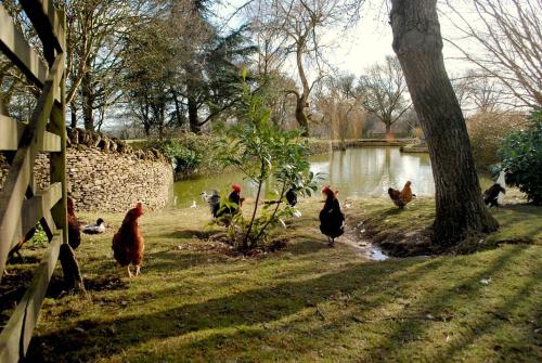 Oxleaze Barn in Broughton Poggs