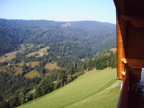 Ferienwohnungen am Pietschacherhof - image 3