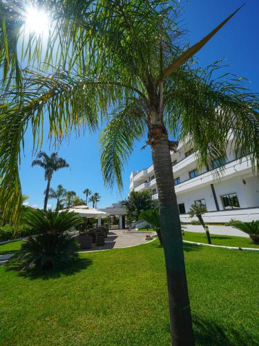 Hotel Clorinda - image 9