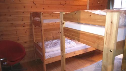 Folven Adventure Camp - image 3