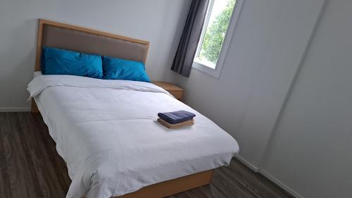 9 Beds including 3 Double Beds, 4 Single Beds, 2 Sofa Bed, Suite 1, 37 Totara Avenue, New Lynn, Auckland (photo 8)