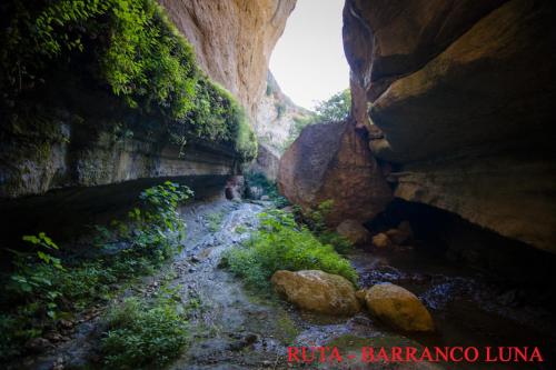 Hostal y Apartamento Rural Los Naranjos