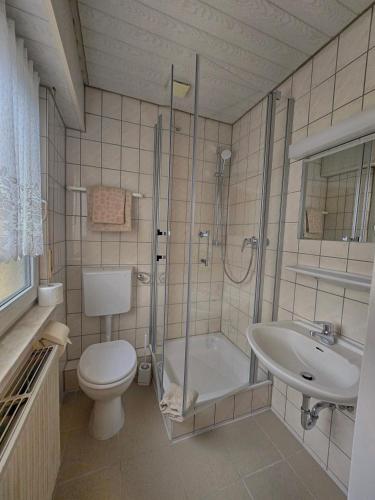 Bathroom, Pension und Ferienwohnungen Bachmann in Wolfersheim