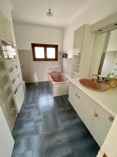 Nid douillet au bord de l'eau in Saint-Just-Saint-Rambert