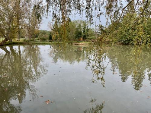 Nid douillet au bord de l'eau in Saint-Just-Saint-Rambert