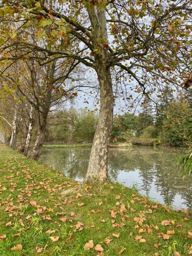 Nid douillet au bord de l'eau in Saint-Just-Saint-Rambert