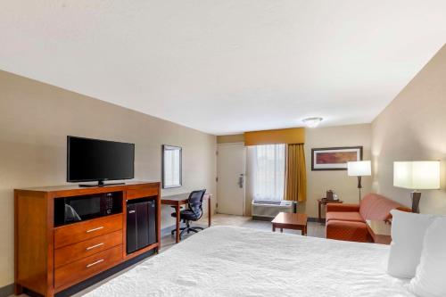 1 king bed, 1 sofa bed