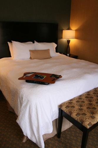 Hampton Inn and Suites Barstow - image 12