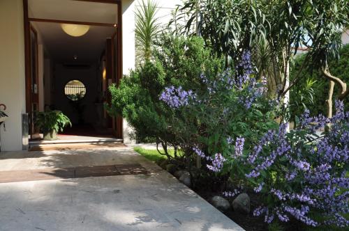 Hotel Etruria - image 13