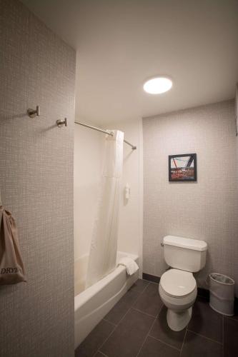 Hampton Inn Seaford - image 9