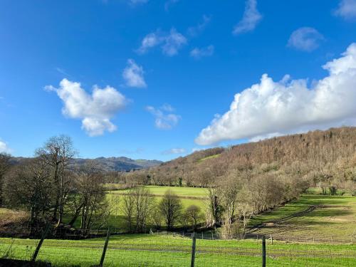 Dolgun Uchaf B&B and Cottages - main image