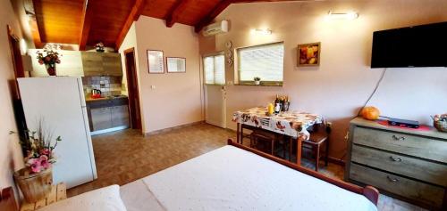 One-Bedroom Apartment image 10