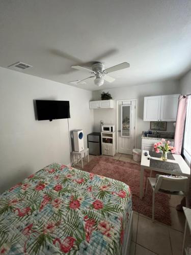 Cozy studio conveniently in Tampa, USA