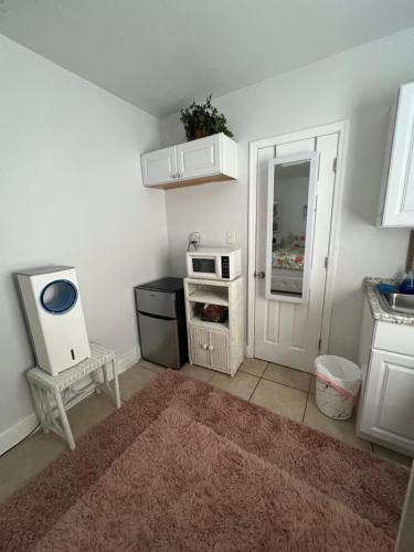 Cozy studio conveniently in Tampa, USA