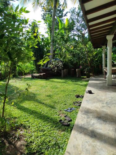 Garden, Guruge villa in Hikkaduwa
