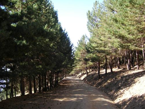 Hostal Rural Poqueira