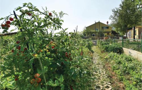 Viesnīcas āriene, Three-Bedroom Holiday Home In Dicmo in Osoje