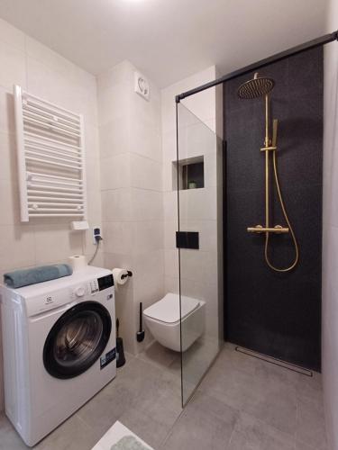 Apartamenty Lubin