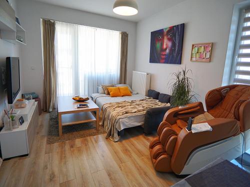 Relaxing Coresi Studio Relaxing Coresi Studio