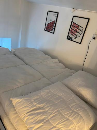 Spacious apartment in central Copenhagen, Kodaň (fotografie 9)