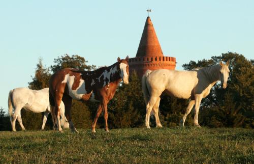 Hotel Zur Burg GmbH