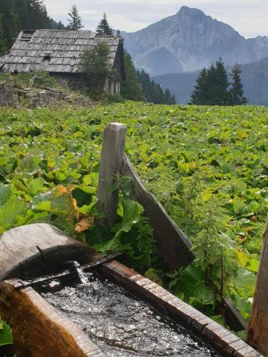 Közeli látványosságok, Cafe Zentral, Zimmer mit Frühstück (Cafe Zentral, Zimmer mit Fruhstuck) in Kotschach
